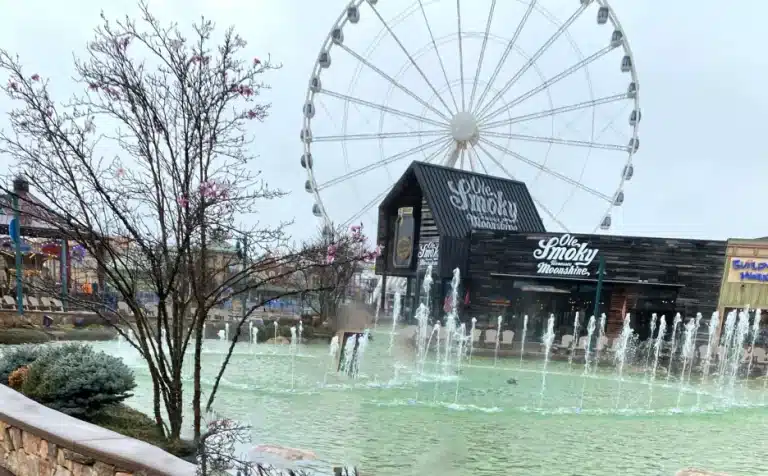 Top Things To Do In Pigeon Forge In November 2023