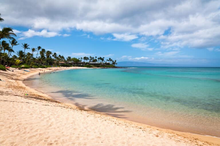 7 Best Beaches For Kids In Maui In 2023