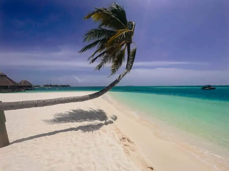 Best Maldives Resorts For Snorkeling 2023
