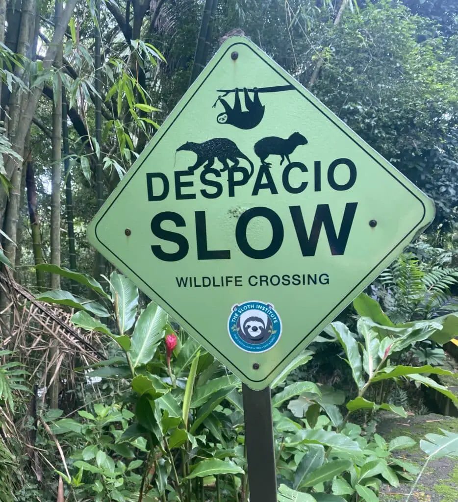 Where To See Sloths In Costa Rica? Sloth Crossing Sign