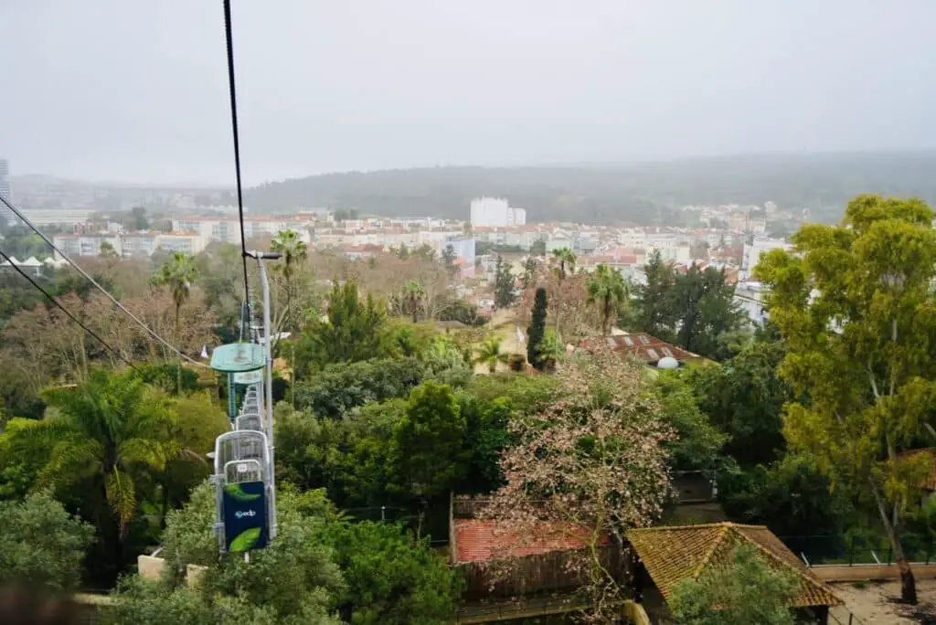 Lisbon Zoo City View