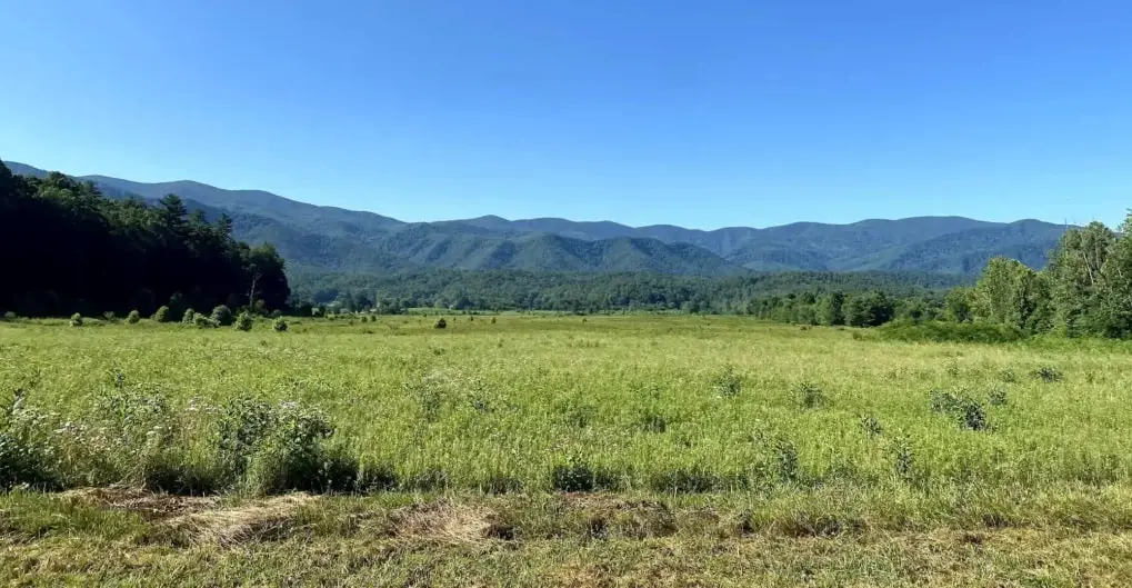 Cades Cove Valley View