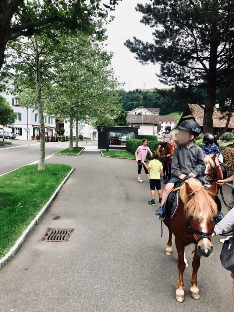 Swiss Holiday Park Horse Ride Through Town Large