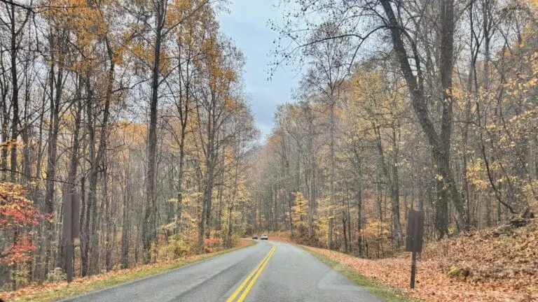 Driving From Knoxville To Gatlinburg: Route And Scenic Stops