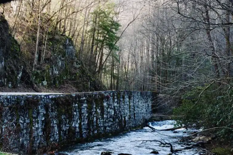 25 Photos That Show How Amazing The Smoky Mountains Are