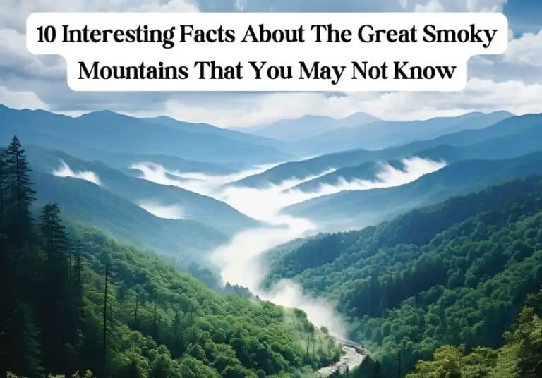 12 Facts About The Smoky Mountains You May Not Know