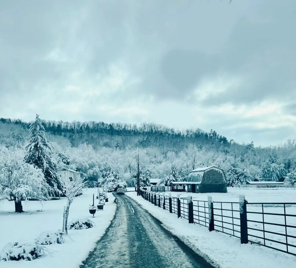 Snowy Gravel Road Near Townsend, Tn